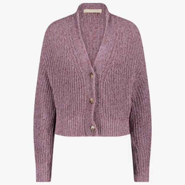 Jane Lushka Moss Cardi | Purple Melange