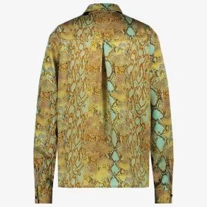 Jane Lushka Sisi/P Blouse | Multi Green